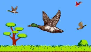 duck hunt