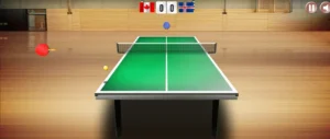 Free World Tour Table Tennis